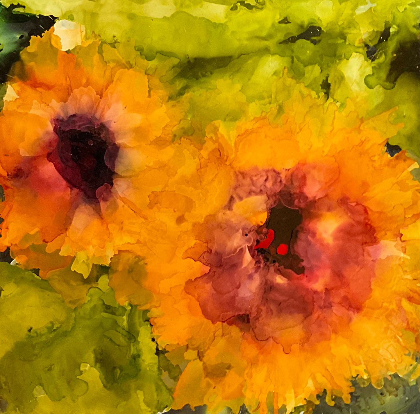 Sunflowers.