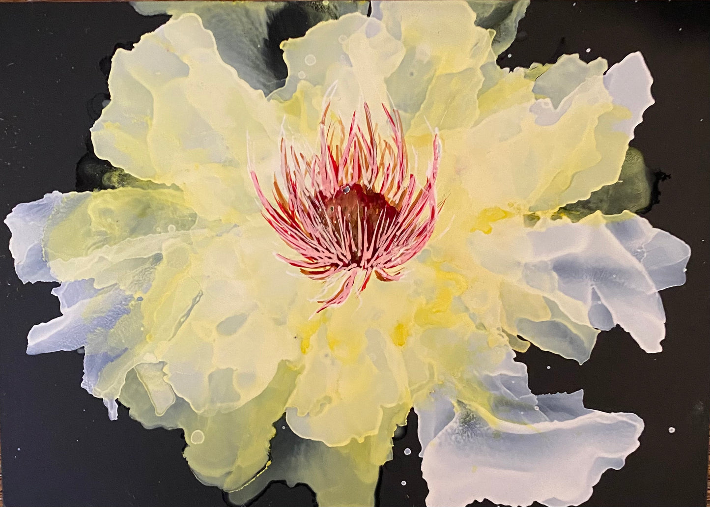 Champagne Poppy