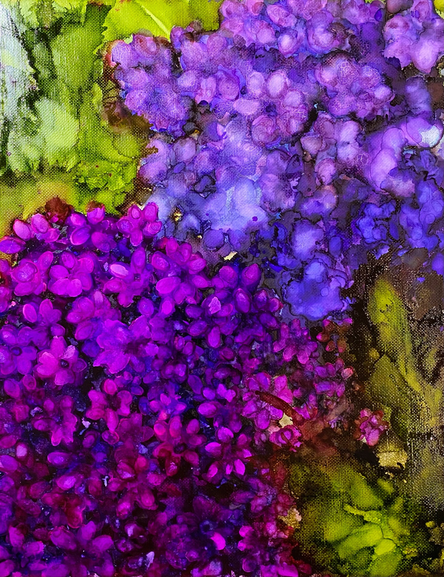 Calming Violets